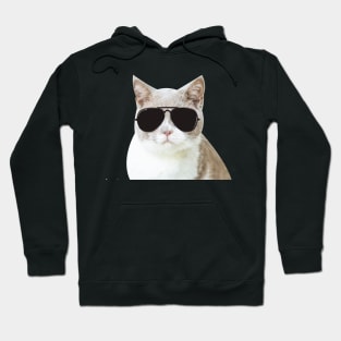 Cool cat with glasses Hoodie
